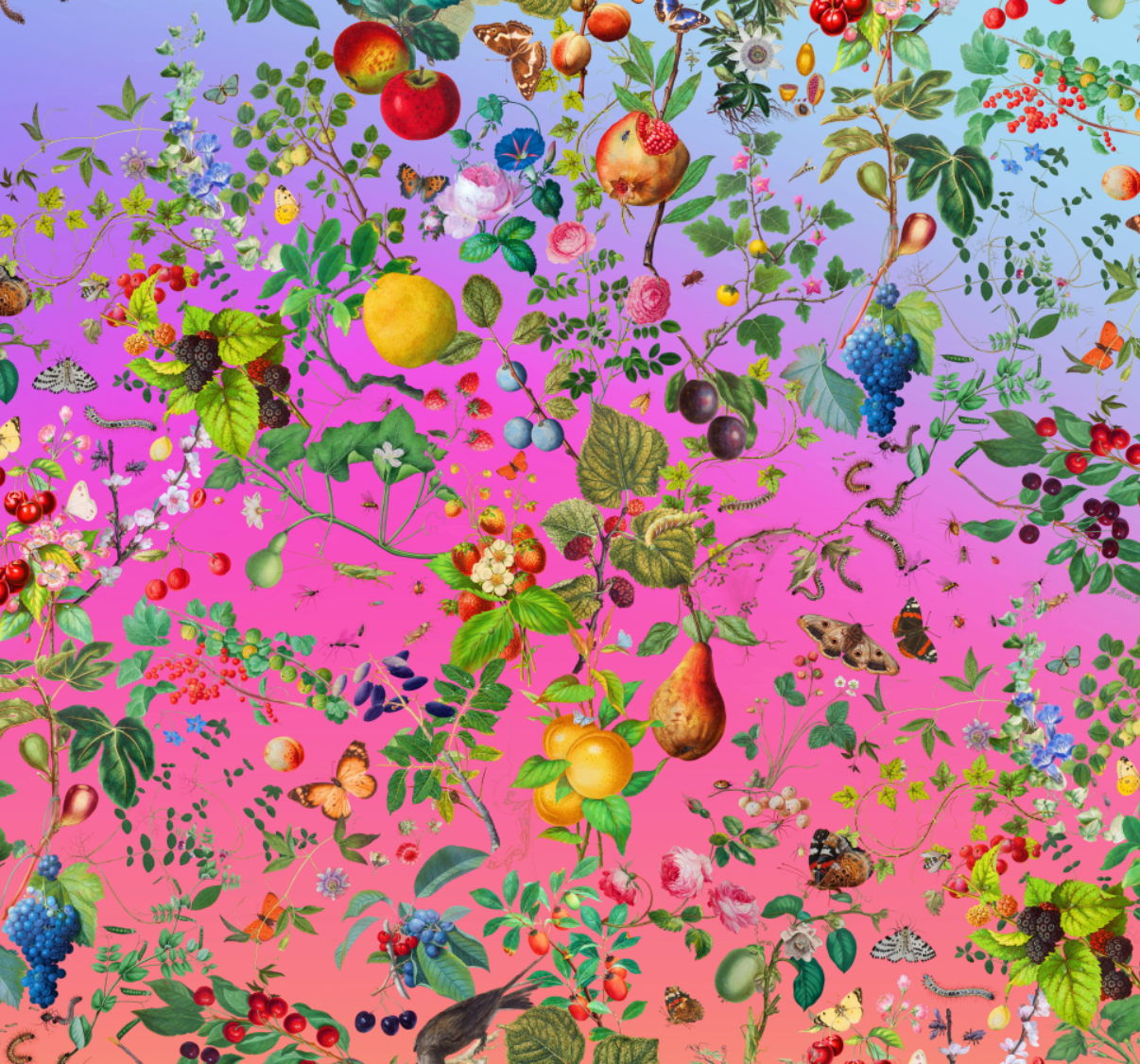 V&A silk scarf | Fallen Fruit
